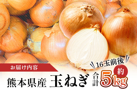 【先行予約】熊本県産 玉ねぎ 5kg (16玉前後) ※2026年4月下旬から順次発送※ 玉葱 野菜 数量限定 JAS たまねぎ オニオン 甘い ハンバーグ 肉じゃが 065-0636