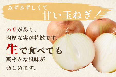 【先行予約】熊本県産 玉ねぎ 10kg (33玉前後) ※2026年4月下旬から順次発送※ 玉葱 野菜 数量限定 JAS たまねぎ オニオン 甘い ハンバーグ 肉じゃが 065-0637