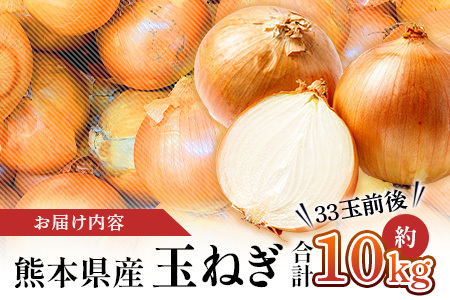 【先行予約】熊本県産 玉ねぎ 10kg (33玉前後) ※2026年4月下旬から順次発送※ 玉葱 野菜 数量限定 JAS たまねぎ オニオン 甘い ハンバーグ 肉じゃが 065-0637