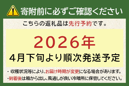【先行予約】熊本県産 玉ねぎ 10kg (33玉前後) ※2026年4月下旬から順次発送※ 玉葱 野菜 数量限定 JAS たまねぎ オニオン 甘い ハンバーグ 肉じゃが 065-0637