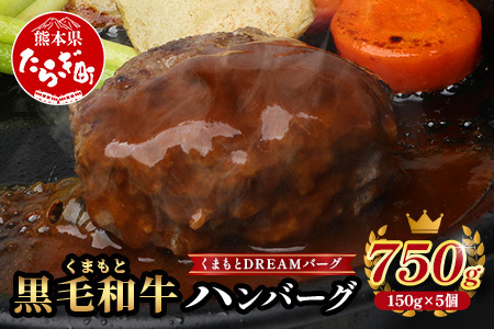 くまもと黒毛和牛 DREAMバーグ 150g×5パック 計750g 牛肉 100％ 国産 生 ハンバーグ 熊本 ブランド牛 黒毛 和牛 上質 はんばーぐ 惣菜 熊本県 113-0508 10,500円