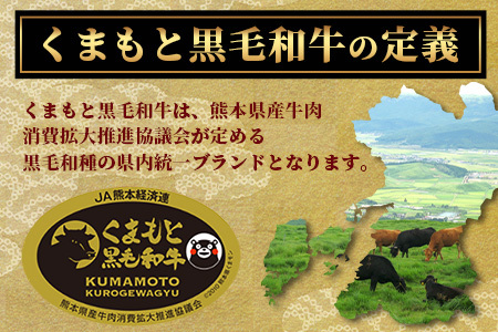 年内お届け【訳あり】くまもと 黒毛和牛 焼肉 切り落とし 600g ※12月18日～28日発送※ 年内発送 年内配送 クリスマス 113-0504-R612