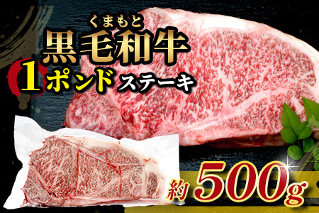 くまもと黒毛和牛 1ポンド ステーキ 約500g《 黒毛 和牛 1 pound ステーキ 500g ブランド牛 上質 常備 冷凍 熊本県 》113-0512