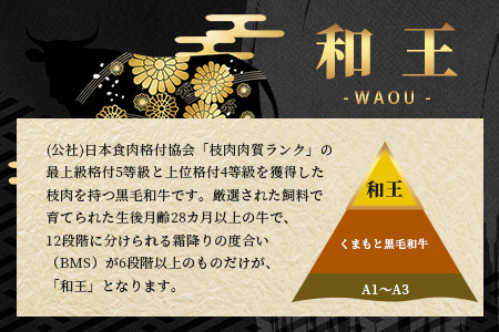 くまもと黒毛和牛【 和王 】ミンチ 500g×3パック 計1.5kg《 ブランド牛 挽肉 ミンチ上質 旨味 大容量 小分け 冷凍 熊本県 》113-0602