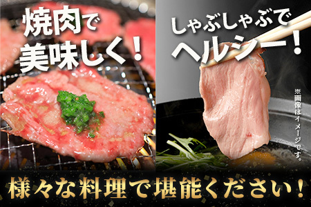 【訳あり】 牛タン スライス 1kg (500g×2) 結着加工 牛肉 牛たん 牛舌 薄切り わけあり 訳アリ 訳あり品 焼肉 焼き肉 惣菜 バーベキュー アウトドア 067-0676