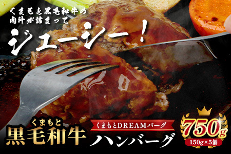 くまもと黒毛和牛 《 クリスマス セット 》ローストビーフ 500g ・ DREAMバーグ 150g×5パック ※12月19・20日限定発送※ 黒毛 和牛 100％ ハンバーグ ごちそう ロースト ビーフ クリスマス X'mas 113-0527