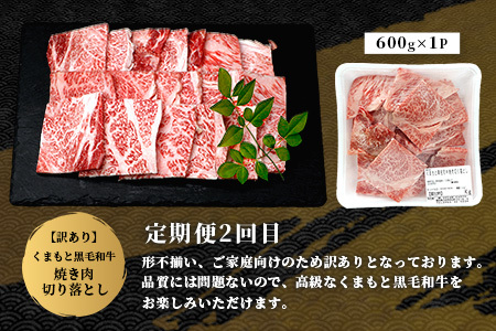 【定期便3回】くまもと黒毛和牛味わい定期便～合計1.8kg 《 黒毛 和牛 ロース 赤身 スライス 焼肉 》 焼き肉 すき焼き 霜降り 上質 ブランド牛 国産 牛肉 冷凍 熊本県 113-0520