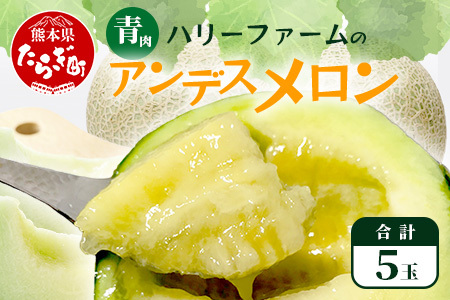 【2026年5月上旬～発送】アンデスメロン 青肉 5玉 (合計 約4.5～5kg) 先行予約 熊本県 多良木町産 果物 フルーツ メロン 先行予約 5個 青肉 ミツバチ交配 期間限定 数量限定 109-0501