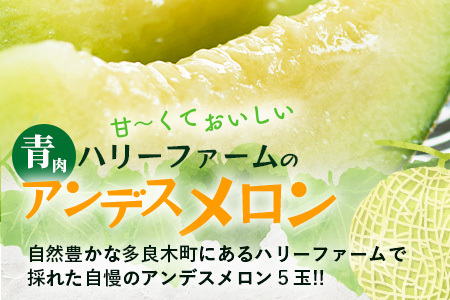 【2026年5月上旬～発送】アンデスメロン 青肉 5玉 (合計 約4.5～5kg) 先行予約 熊本県 多良木町産 果物 フルーツ メロン 先行予約 5個 青肉 ミツバチ交配 期間限定 数量限定 109-0501