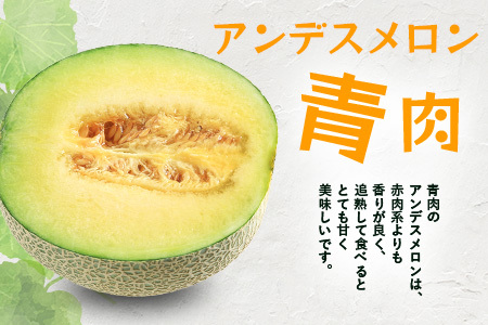 【2026年5月上旬～発送】アンデスメロン 青肉 5玉 (合計 約4.5～5kg) 先行予約 熊本県 多良木町産 果物 フルーツ メロン 先行予約 5個 青肉 ミツバチ交配 期間限定 数量限定 109-0501