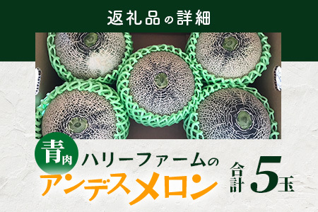 【2026年5月上旬～発送】アンデスメロン 青肉 5玉 (合計 約4.5～5kg) 先行予約 熊本県 多良木町産 果物 フルーツ メロン 先行予約 5個 青肉 ミツバチ交配 期間限定 数量限定 109-0501