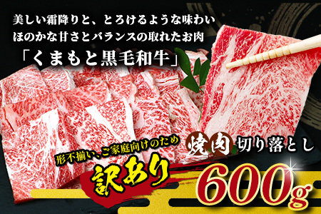 《2・3月発送 限定増量》【訳あり】くまもと 黒毛和牛 焼肉 切り落とし 600g ＋ DREAMバーグ150ｇ×2個 【合計 900g】 切り落とし 牛肉切り落とし 焼肉切り落とし 牛肉切り落とし 切落し ハンバーグ おまけ 増量 訳アリ 113-0534