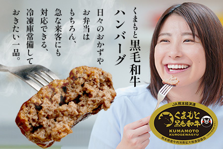 12月終了《2・3月発送 限定増量》 くまもと黒毛和牛 DREAMバーグ 150g×5個 +2個！計1050g 牛肉 100％ 増量 国産 生 ハンバーグ 熊本 ブランド牛 黒毛 和牛 上質 和牛 霜降り はんばーぐ 惣菜 冷凍 小分け 熊本県 113-0508-g