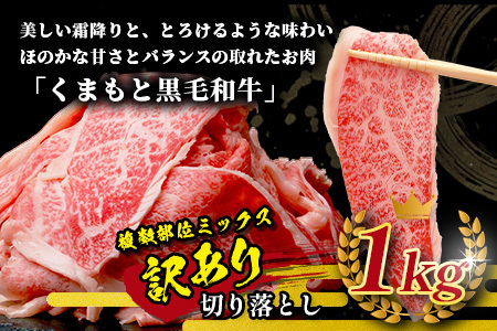 12月終了《2・3月発送 限定増量》くまもと黒毛和牛 切り落とし 1kg + DREAMバーグ 150g×3個 【合計1450g】 切り落とし 1キロ + 牛肉 100％ 国産 生 ハンバーグ ブランド牛 上質 和牛 霜降り お得 限定品 惣菜 冷凍 熊本県 113-0530