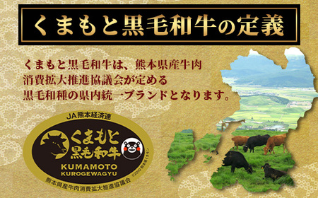 《2・3月発送 限定増量》A4・A5 くまもと黒毛和牛 ロース セット 計 1kg ( すき焼き / 焼肉 各500g ) 本場 熊本県 ブランド 牛 黒毛 和牛 厳選 大容量 1キロ 肉 上質 113-0533