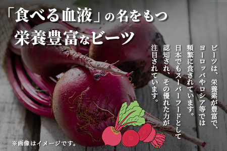 熊本県産 ビーツ の粉末セット (粗粉末100g×1袋・微粉末100g×1袋) あさぎり農園 スーパーフード 栄養豊富 美容 健康 115-0603