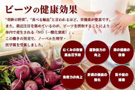 あさぎり農園 ビーツ 満喫セット ( パスタ / 炊き込みご飯 / ピラフ / スムージー ) スーパーフード ビーツ 美容 健康 熊本産 国産 びーつ トマト ピラフ パスタ スムージー 乳酸菌 腸活 くまモン 115-0604
