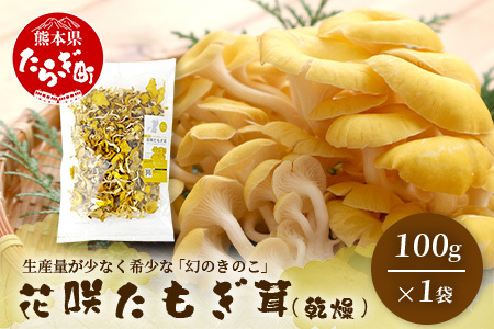 無農薬栽培【花咲 たもぎ茸 (乾燥) 100g 】幻 キノコ タモギダケ ヒラタケ 健康 栄養豊富 出汁 だし エルゴチオネイン タモギ茸 たもぎだけ  115-0606