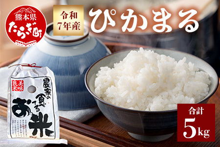 【 令和7年産 新米 先行予約 】 新米 多良木町産 ぴかまる 5kg （ 令和7年10月下旬より順次発送 ）新米 農家が食べる お米 5キロ 甘み 米 美味しい米 米 白米 精米 熊本 065-0640