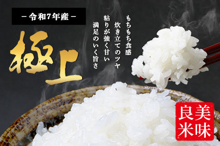 【 令和7年産 新米 先行予約 】 新米 多良木町産 ぴかまる 5kg （ 令和7年10月下旬より順次発送 ）新米 農家が食べる お米 5キロ 甘み 米 美味しい米 米 白米 精米 熊本 065-0640
