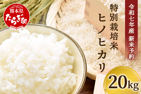 【令和7年 新米予約】特別栽培米「ヒノヒカリ」20kg 精米 井上農園 10月より順次出荷 熊本県 お米 白 米 精米 ひのひかり 国産 114-0603