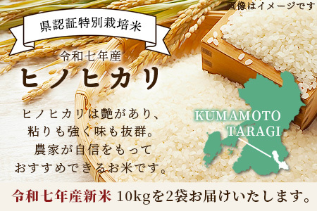 【令和7年 新米予約】特別栽培米「ヒノヒカリ」20kg 精米 井上農園 10月より順次出荷 熊本県 お米 白 米 精米 ひのひかり 国産 114-0603