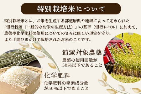 【令和7年 新米予約】特別栽培米「ヒノヒカリ」20kg 精米 井上農園 10月より順次出荷 熊本県 お米 白 米 精米 ひのひかり 国産 114-0603
