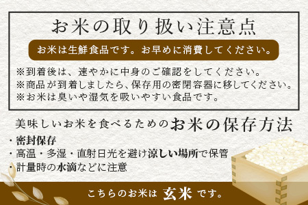 【令和7年産 玄米 】10月中旬~発送 多良木町産「くまさんの輝き」 玄米 30kg 米どころ 多良木町 たらぎ 新米 玄米 上原農園 農家直送 熊本県 30キロ 119-0501