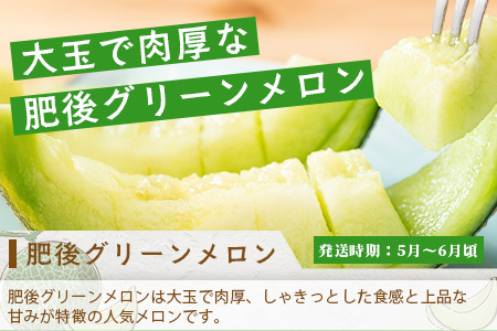 【フルーツ 定期便 3回】2026年発送分 メロン・桃・梨 旬 3回配送 数量限定 肥後グリーンメロン 球磨の桃 豊永の梨 フルーツ 果物 名産 熊本 多良木町 092-0506