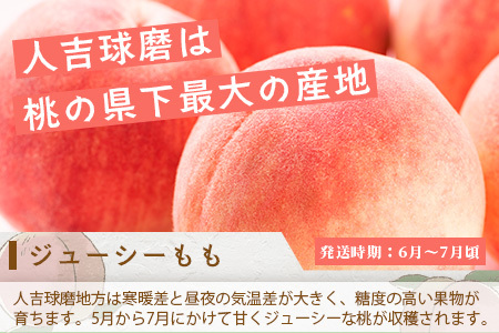 【フルーツ 定期便 3回】2026年発送分 メロン・桃・梨 旬 3回配送 数量限定 肥後グリーンメロン 球磨の桃 豊永の梨 フルーツ 果物 名産 熊本 多良木町 092-0506
