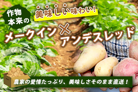 大森さんの じゃがいも 食べ比べセット 約5kg メークイン ／アンデスレッド 熊本県 多良木町 ジャガイモ じゃが芋 野菜 ポテト 芋 いも 数量限定 065-0701