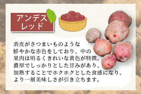 大森さんの じゃがいも 食べ比べセット 約5kg メークイン ／アンデスレッド 熊本県 多良木町 ジャガイモ じゃが芋 野菜 ポテト 芋 いも 数量限定 065-0701