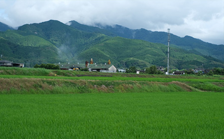 【令和7年産 新米】多良木町産 ひよくもち 米 5kg もち米 ヒヨクモチ 11月中旬～発送 新米 精米 熊本県 米どころ たらぎ 餅 米 赤飯 おこわ 120-0503