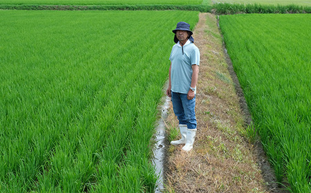 【令和7年産 新米】多良木町産 ひよくもち 米 5kg もち米 ヒヨクモチ 11月中旬～発送 新米 精米 熊本県 米どころ たらぎ 餅 米 赤飯 おこわ 120-0503