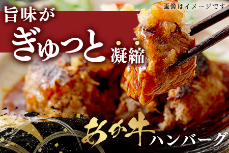 【GI認証】くまもと あか牛 ハンバーグ《ご家庭用》150g×10個 あか牛100％ 赤身 冷凍 熊本県産 あかうし はんばーぐ 惣菜 おかず 和牛 牛肉 073-0409