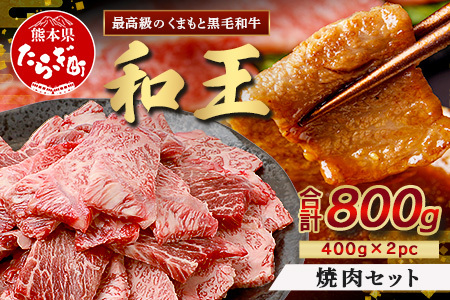 くまもと黒毛和牛(和王) 焼肉 セット 800g(400g×2) ブランド牛 肉 焼き肉 やきにく BBQ アウトドア 牛肉 小分け 冷凍 精肉 国産 牛 プレミアム品質 122-0511