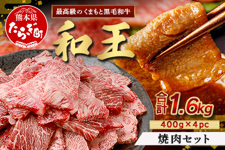 くまもと黒毛和牛(和王) 焼肉 セット 1.6kg(400g×4) ブランド牛 肉 焼き肉 やきにく BBQ アウトドア 牛肉 大容量 小分け 冷凍 精肉 国産 牛 プレミアム品質 122-0513