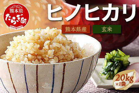 【 令和7年産 新米 玄米 】 多良木町産 ヒノヒカリ 玄米 20kg 10月中旬～発送予定 116-0502