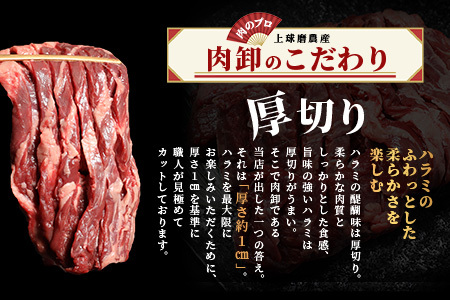 《年末発送》 厚切り 牛 ハラミ ステーキ【500g】12月寄附限定 タン先炭火焼付！ 牛肉 焼肉 年内発送 年内配送 067-0678-R712