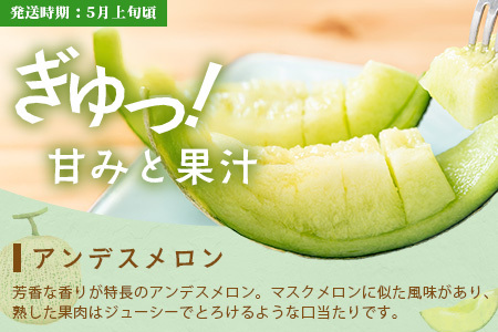 【フルーツ 3回 定期便B】2026年発送分 アンデス メロン・桃・梨 3回配送 旬 フルーツ 定期便 数量限定 熊本果物 092-0508