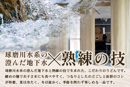 ざるうどん 2人前×2袋 （計4食）うどん 乾麺 涼 麺 冷やし 夏 食欲増進 さっぱり 温 あったか 便利 備蓄 保存食 常温保存 夏休み ランチ 昼食 夕食 夜食 2000円  076-0481