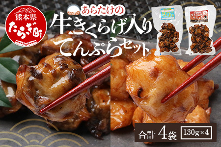 熊本グッドプロダクト賞 ! 生きくらげ入り てんぷら～焦がしニンニク入＆プレーン 4パック セット(各2P) 真空パック さつまあげ さつま揚げ つけあげ きくらげ キクラゲ 木耳 魚介 熊本県 多良木町 あらたけ蒲鉾店 102-0502