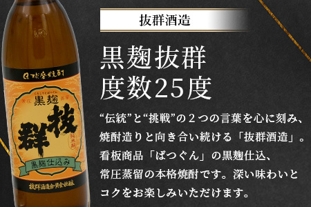 多良木の米焼酎のみくらべ 2 本～九代目720ml・黒麴抜群900ml 015-0702