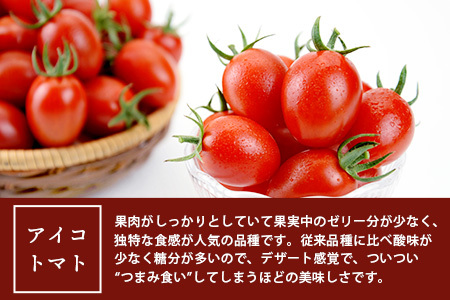 【2025年3月上旬〜5月下旬発送】農園直送 熊本県産 ミニトマト「アイコ (赤色)」約2.5kg 国産トマト アイコ とまと 甘い 熊本 多良木町 新鮮 フルーツトマト 020-0531