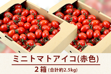 産地直送】熊本県産 ミニトマト「アイコ (赤色)」約2.5kg 国産トマト アイコ とまと 甘い 熊本 多良木町 農園直送 新鮮 フルーツトマト  フルーティ 020-0531 | 熊本県多良木町 | ふるさと納税サイト「ふるなび」