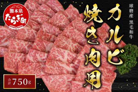 球磨産 黒毛和牛 カルビ 焼き肉 用 750g【前バラ かいの身 友バラ 】011-0003