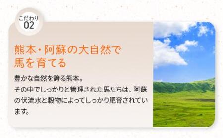  馬スジ 2kg ボイル済 馬肉 【 馬スジ 馬 スジ すじ 馬肉 ボイル ボイル済み 馬刺し すじ肉 馬すじ 加熱済 真空パック 真空 小分け 熊本県馬刺し 熊本県 熊本 多良木町 多良木 SQF認証 グルメ 冷凍 煮込み料理 おでん カレー 】 031-0097