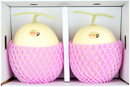 【2026年5月上旬発送開始】【 先行予約 】ホームランメロン キング(王) (2玉／計：3.2kg以上) 令和8年 配送 ご予約 メロン めろん フルーツ 果物 くだもの デザート 熊本 多良木 たらぎ 008-0660