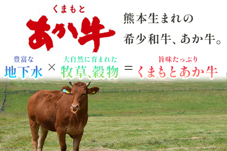 くまもとあか牛 切り落とし 約800g 【 くまもとあか牛 熊本県産あか牛 あか牛切り落とし 赤牛切り落とし 切り落とし 切落し 褐色和牛 和牛切落し 冷凍 あか牛 和牛 牛肉 赤身肉 お肉 切り落し 柔らかい 肉 国産 九州産 熊本県 多良木町 【美味しいあか牛を切落しで】こだわりのあか牛 あか牛切り落し 】 073-0408