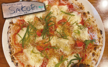 【Pizza】 本格 石釜焼き Pizza 2枚 ＜ マルゲリータ / チチニエリ ＞ ＆ 塩パン ＆ ソフトフランス セット 冷凍 ピザ 冷凍ピザ 人気ピザ ピザセット パンセット 石窯ピザ ちりめんじゃこ 大葉 ニンニク 059-0283